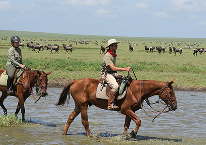 Classic Safari Journey
