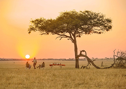 Taste & Track Selous Safari - Selous in style from Zanzibar