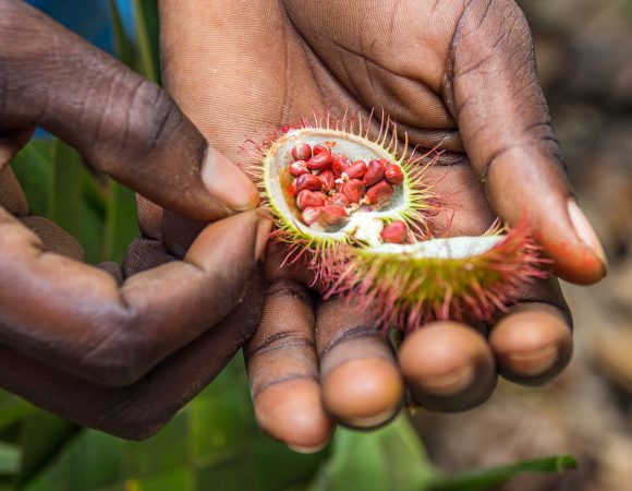 Spice Farm Tour | The Spices & Herbs Farm in Zanzibar