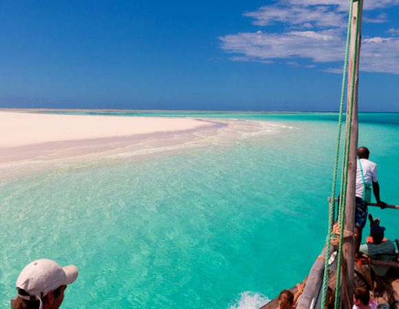 Mnemba Snorkeling and  Dolphin and Baraka Aquarium and Sunset Cruise