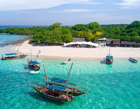 Safari Blue Tour Snorkeling with BBQ Lunch